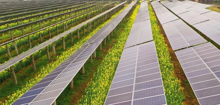 Agrivoltaics